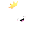 Jelly_Fish_Q